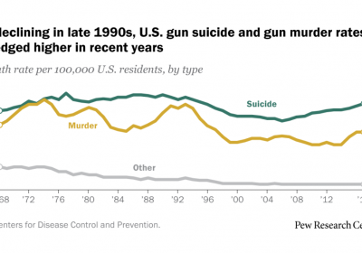 Ginklų mirtis JAV: atsakyta į 10 pagrindinių klausimų