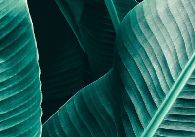 Kas yra EMDR?  – EMDR institutas